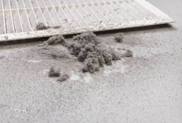 Best Air Duct Sanitizing Services  in Fort Sumner, NM