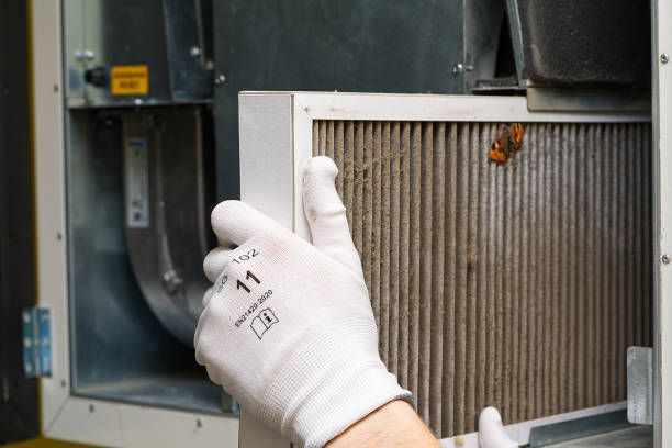 Best Ductwork Cleaning Services  in Fort Sumner, NM